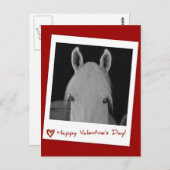 Stella Postkarte (Vorne/Hinten)