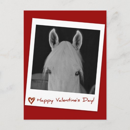 Stella Postkarte (Vorderseite)