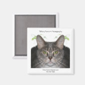 Stella Promo Magnet (Vorderseite/Rückseite)