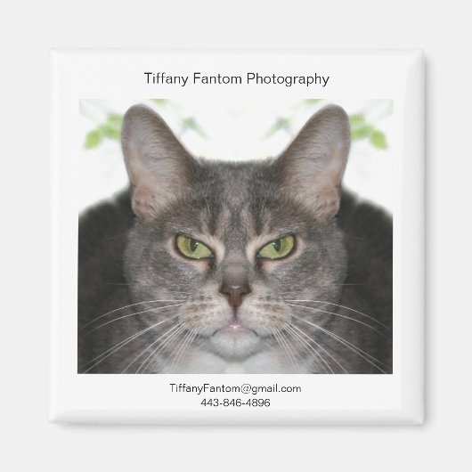 Stella Promo Magnet (Vorne)