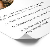 STELLA Spaß Fakten über die Braut und das Sternzei Poster (Ecke)