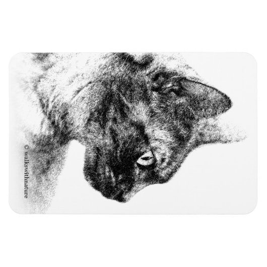 Stella the Gray Cat Magnet (Horizontal)