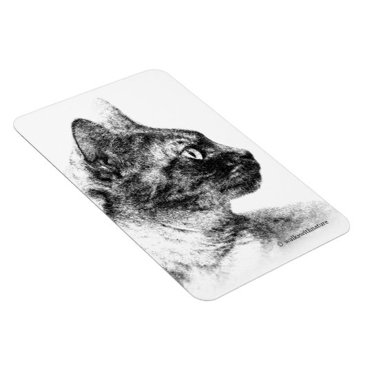 Stella the Gray Cat Magnet (Rechte Seite)