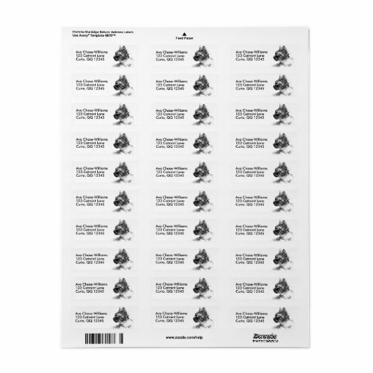 Stella the Gray Kitty Cat (Vorne)