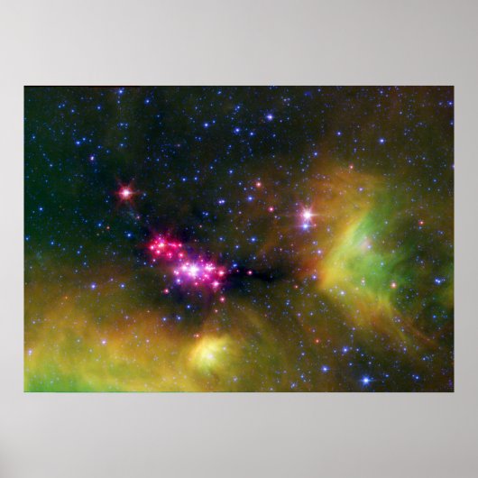 Stellar Babies Poster (Vorne)