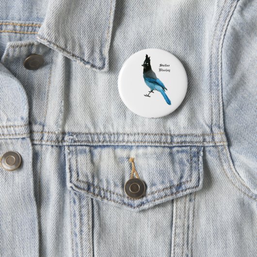 Stellar Blue Jay Button (Beispiel)