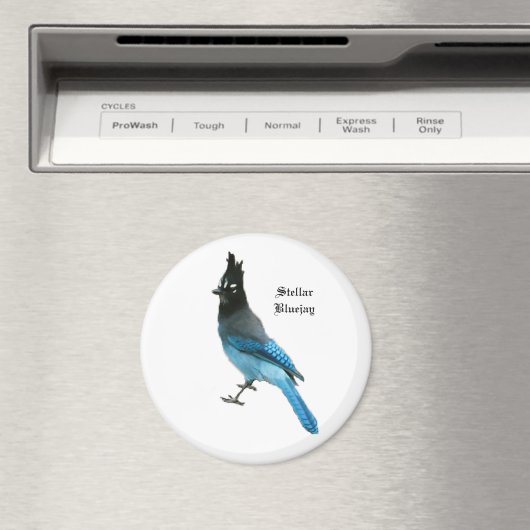 Stellar Blue Jay-Magnet Magnet (In Situ (Geschirrspüler))