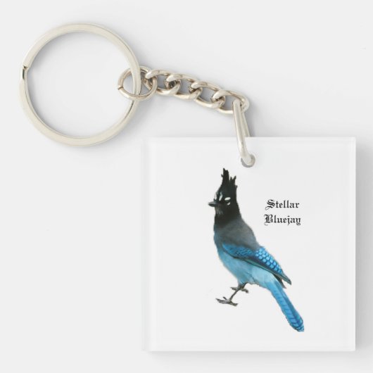 Stellar Blue Jay Schlüsselkette Schlüsselanhänger (Vorderseite)