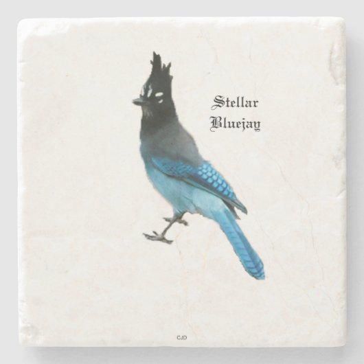 Stellar Blue Jay stone Untersetzer (Vorderseite)