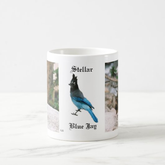 Stellar Blue Jay Tasse (Mittel)