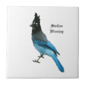 Stellar Blue Jay tile Fliese (Vorderseite)
