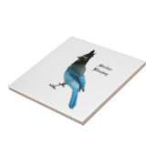 Stellar Blue Jay tile Fliese (Seite)