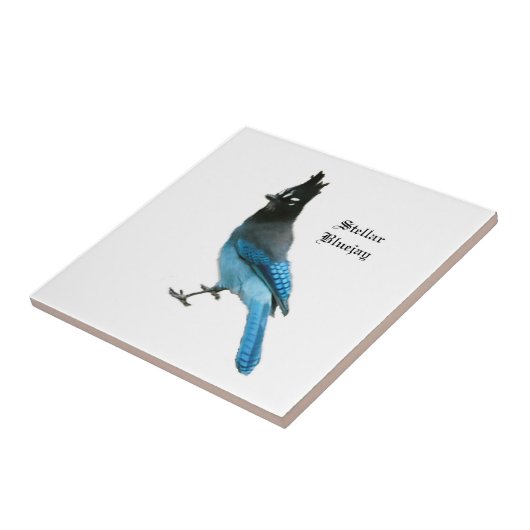 Stellar Blue Jay tile Fliese (Seite)