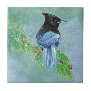 Stellar Jay Bird Arte e Cultura Fliese