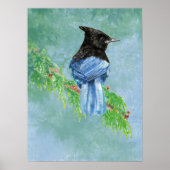 Stellar Jay Bird Bauernhof Rustikale Landschaft Ar Poster (Vorne)