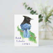 Stellar Jay, British Columbia, Bird, Nature Postkarte (Stehend Vorderseite)
