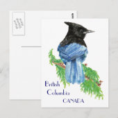 Stellar Jay, British Columbia, Bird, Nature Postkarte (Vorne/Hinten)