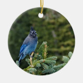 "Stellar Jay" Keramik Ornament (Vorne)