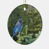 "Stellar Jay" Keramik Ornament (Links)