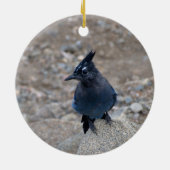 "Stellar Jay" Keramik Ornament (Hinten)