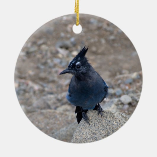 "Stellar Jay" Keramik Ornament (Hinten)