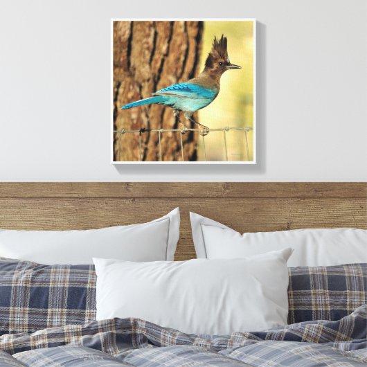 Stellar Jay Leinwanddruck (Insitu (Schlafzimmer))