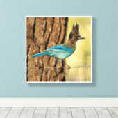 Stellar Jay Leinwanddruck (Insitu (Holzboden))