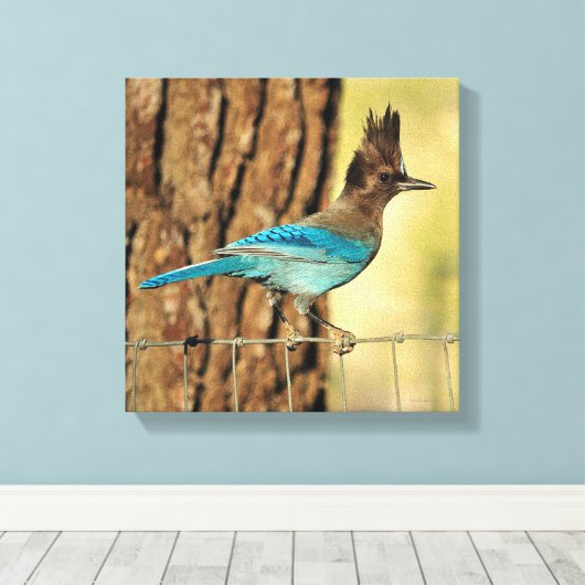 Stellar Jay Leinwanddruck (Insitu (Holzboden))
