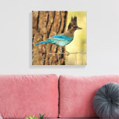 Stellar Jay Leinwanddruck (Insitu (Wohnzimmer))