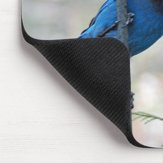 Stellar-Jay Mousepad (Ecke)
