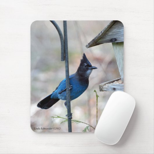 Stellar-Jay Mousepad (Mit Mouse)