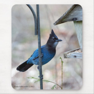 Stellar-Jay Mousepad