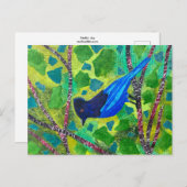 Stellar Jay Postkarte (Vorne/Hinten)
