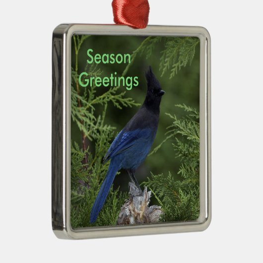Stellar Jay Weihnachtsschmuck (Rechts)