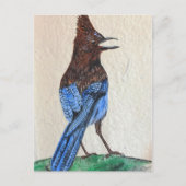 Stellar Postkarte (Vorderseite)