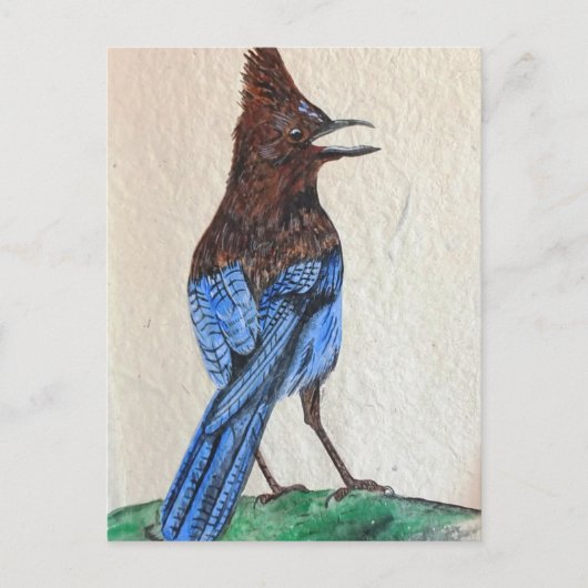 Stellar Postkarte (Vorderseite)