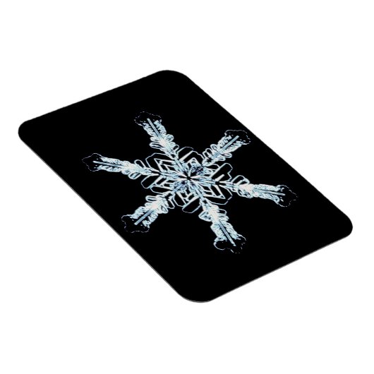 Stellar-Schneekristall Magnet (Rechte Seite)