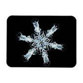 Stellar-Schneekristall Magnet (Horizontal)