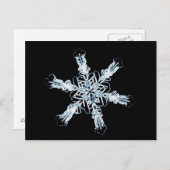 Stellar-Schneekristall Postkarte (Vorne/Hinten)