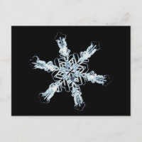 Stellar-Schneekristall