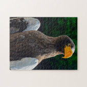 Stellar Sea Eagle Jigsaw Puzzle (Horizontal)
