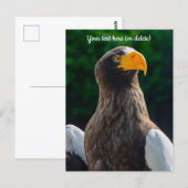 Stellar Sea Eagle Postcard Postkarte (Vorne/Hinten)