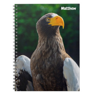 Stellar Sea Eagle Spiral Notebook Notizblock