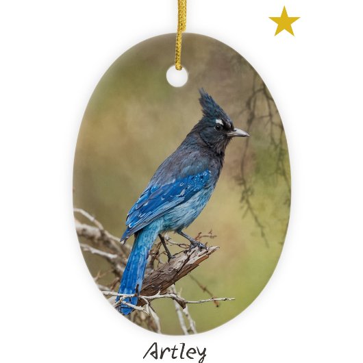 Stellar's Jay Bird Painting Custom Year Weihnachte Keramik Ornament