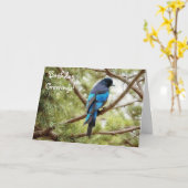 Stellars Jay Blue Bird Birthday Card Bird Lover Karte (Gelbe Blume)