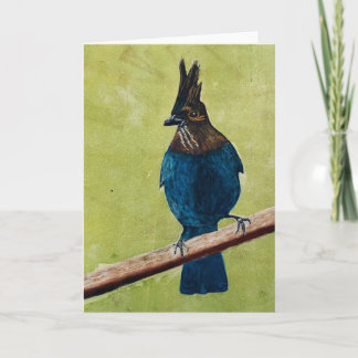 Stellar's Jay NOTIZKARTE