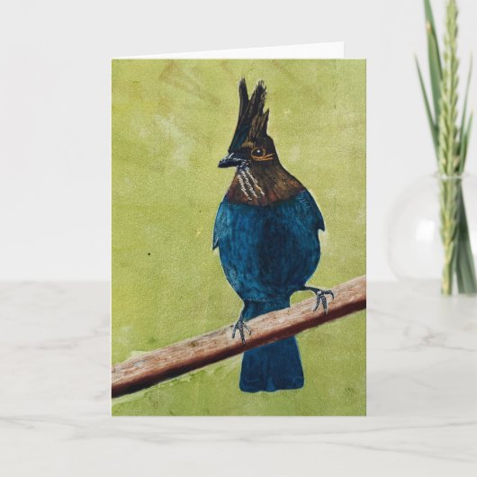 Stellar's Jay NOTIZKARTE (Vorderseite)