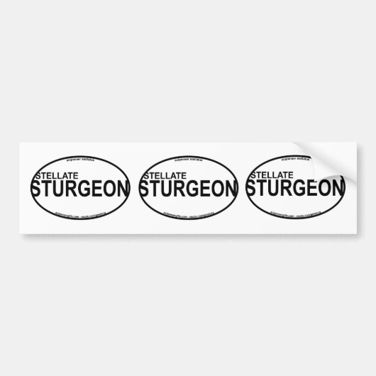 Stellate/Starry Sturgeon Euro-Stickers Autoaufkleber (Vorne)