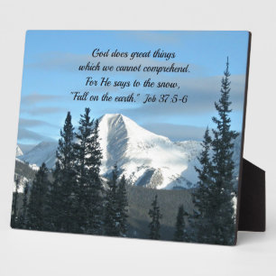 Stelle 37:5-6 fotoplatte