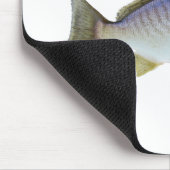 Stellen-Fisch-Foto Mousepad (Ecke)